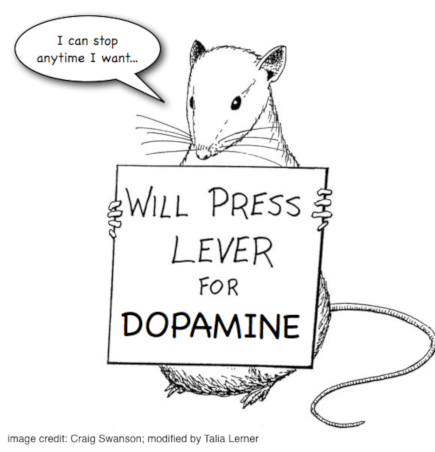 Will press lever for dopamine